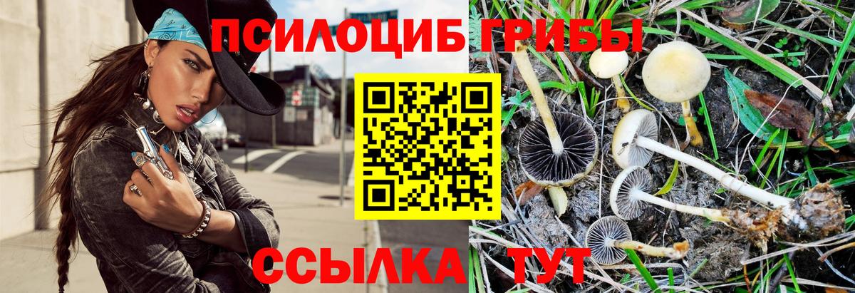 Псилоцибиновые грибы ЛСД  дарнет шоп  Фурманов  Галлюциногенные грибы Psilocybine cubensis  Вход с VPN 