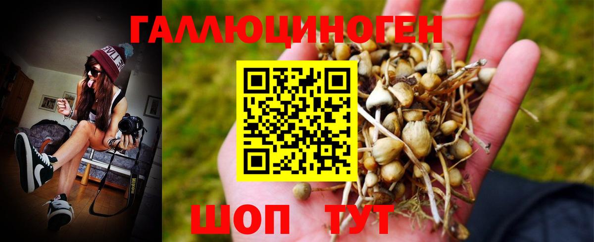 Псилоцибиновые грибы мицелий Фурманов